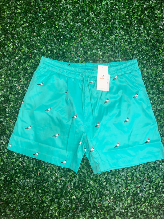 Staple Teal Shorts